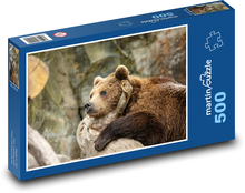 Medvěd grizzly Puzzle 500 dílků - 46 x 30 cm