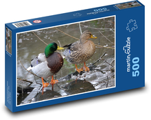 Kachny na zamrzlé řece Puzzle 500 dílků - 46 x 30 cm