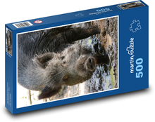 Wild boar in mud Puzzle of 500 pieces - 46 x 30 cm 