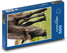 Poník pasúci sa na lúke Puzzle 500 dielikov - 46 x 30 cm 