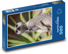 Meerkat na stráži Puzzle 500 dielikov - 46 x 30 cm