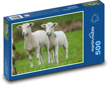 Lambs in the pasture Puzzle of 500 pieces - 46 x 30 cm 