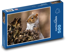 Veverička - hlodavec, zviera Puzzle 500 dielikov - 46 x 30 cm 