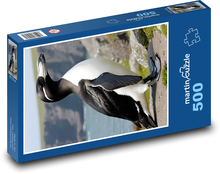 Tučniak - zviera, pobrežie Puzzle 500 dielikov - 46 x 30 cm 