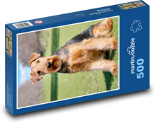 Pes - Airedale teriér Puzzle 500 dílků - 46 x 30 cm