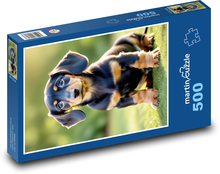 Pes - jazvečík Puzzle 500 dielikov - 46 x 30 cm 