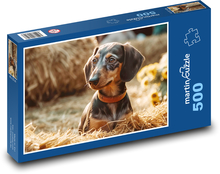 Dog - Dachshund Puzzle of 500 pieces - 46 x 30 cm 