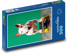 Pes na skateboardu Puzzle 500 dílků - 46 x 30 cm