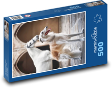 Borzoi - pies Puzzle 500 elementów - 46x30 cm