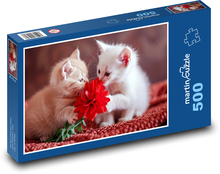 Niedliche Kätzchen Puzzle 500 Teile - 46 x 30 cm