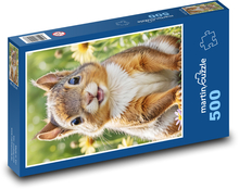 Eichhörnchen in Blumen Puzzle 500 Teile - 46 x 30 cm