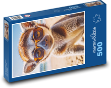 Lemur v pohároch Puzzle 500 dielikov - 46 x 30 cm 