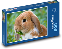 Rabbit Puzzle of 500 pieces - 46 x 30 cm 