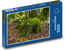 Forest - stumps Puzzle of 500 pieces - 46 x 30 cm