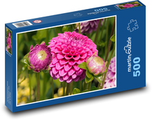 Dahlia Puzzle of 500 pieces - 46 x 30 cm