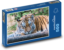 Król dżungli: Tygrys Puzzle 500 elementów - 46x30 cm