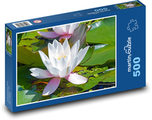 Seerosen Puzzle 500 Teile - 46 x 30 cm