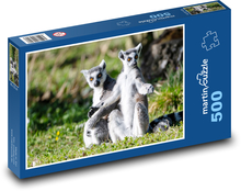 Lemury w trawie Puzzle 500 elementów - 46x30 cm