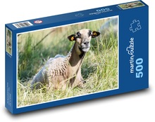 Ovce leží v trávě Puzzle 500 dílků - 46 x 30 cm