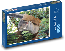 Spící koala Puzzle 500 - 46x30 cm