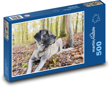 Ein Hund im Wald Puzzle 500 Teile - 46 x 30 cm