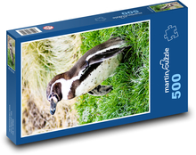 Penguin in the grass Puzzle of 500 pieces - 46 x 30 cm 