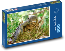 Mládě kosa Puzzle 500 dílků - 46 x 30 cm