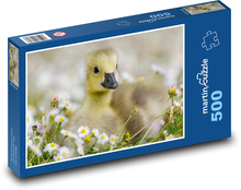 Canadian goose, daisies Puzzle of 500 pieces - 46 x 30 cm 