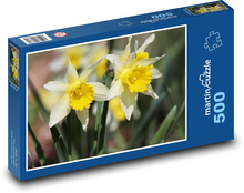 Narzissen Puzzle 500 Teile - 46 x 30 cm