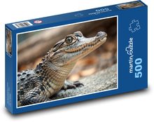 Aligátor Puzzle 500 dílků - 46 x 30 cm