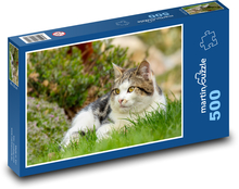 Cat Puzzle of 500 pieces - 46 x 30 cm
