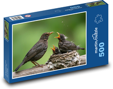 Kos - pisklęta Puzzle 500 elementów - 46x30 cm
