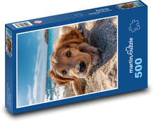 Welpe am Strand Puzzle 500 Teile - 46 x 30 cm