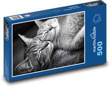Mačky, čiernobiela fotka Puzzle 500 dielikov - 46 x 30 cm 