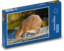 Capybara Puzzle 500 Teile - 46 x 30 cm