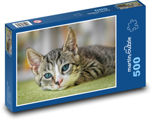 Cat top Puzzle of 500 pieces - 46 x 30 cm 