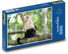 Kapuzineraffe Puzzle 500 Teile - 46 x 30 cm