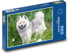 Eurasier - Hund Puzzle 500 Teile - 46 x 30 cm