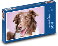 Border collie Puzzle 500 elementów - 46x30 cm