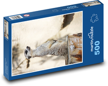 Meerikata Puzzle 500 elementów - 46x30 cm