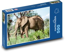 Elephant Puzzle of 500 pieces - 46 x 30 cm 