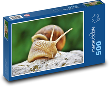 ślimak Puzzle 500 elementów - 46x30 cm