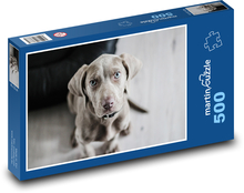 Weimaraner - Welpe Puzzle 500 Teile - 46 x 30 cm