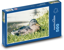 Dzika Kaczka Puzzle 500 elementów - 46x30 cm