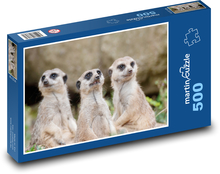 Meerkats Puzzle of 500 pieces - 46 x 30 cm 