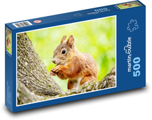 Veverica. Puzzle 500 dielikov - 46 x 30 cm 