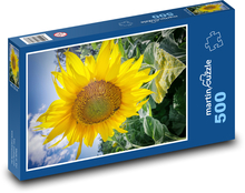 Kwitnący słonecznik Puzzle 500 elementów - 46x30 cm