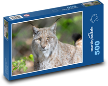 Rys. Puzzle 500 elementów - 46x30 cm