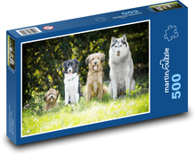 Psy Puzzle 500 elementów - 46x30 cm