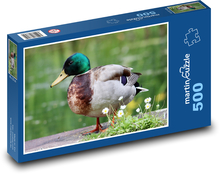 Káčer. Puzzle 500 dielikov - 46 x 30 cm 